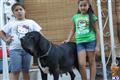 Fila Brasileiro